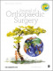 Journal of Orthopaedic Surgery